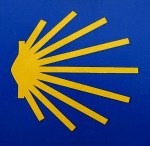 santiago-shell-large-001