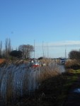 2017_0114warehamwalk0003