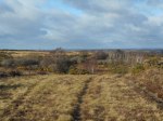 2017_0114warehamwalk0030