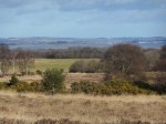 2017_0114warehamwalk0032